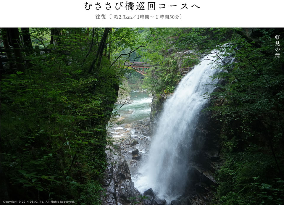 むささび橋巡回コース