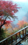 20101122141212.jpg