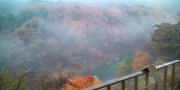 20101122141356.jpg