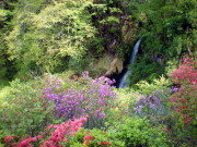 IMGP0594.jpg