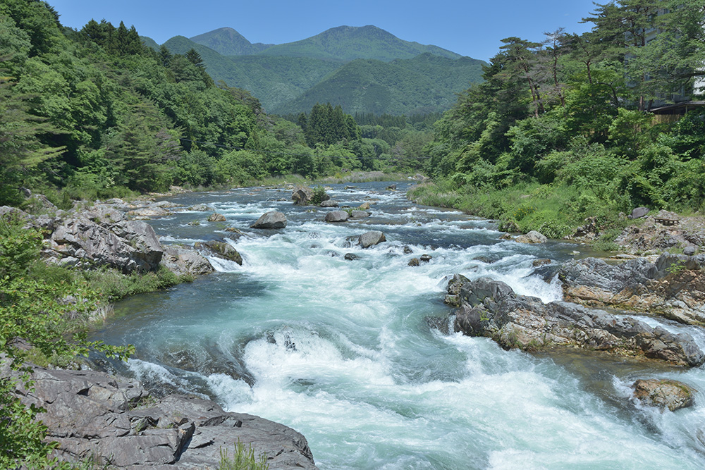 気軽に自然を感じられる「大滝河川遊歩道」