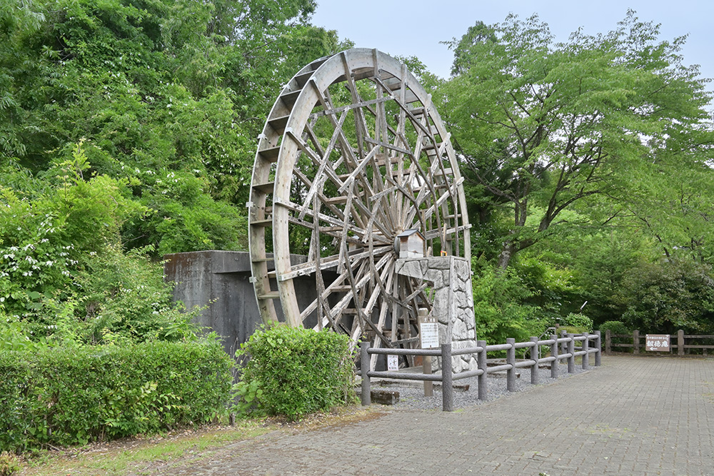 杉並木公園を散策